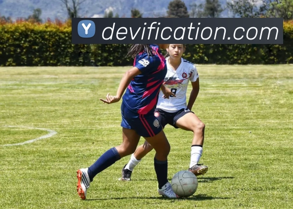 体育赛事直播